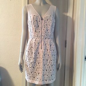 BCBGeneration lace dress